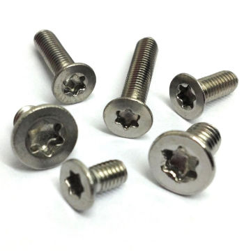 Stainless Steel Torx Screw